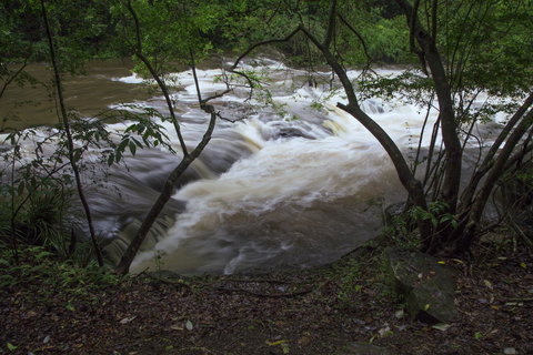 Bower 63 - Accommodation Burleigh 24