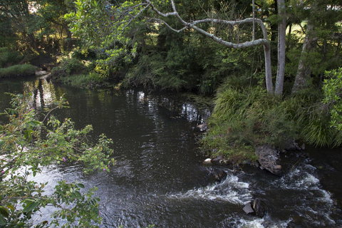 Bower 63 - Accommodation Burleigh 23