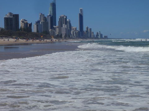 Superior Apartment In A Unique Resort - Accommodation Burleigh 43