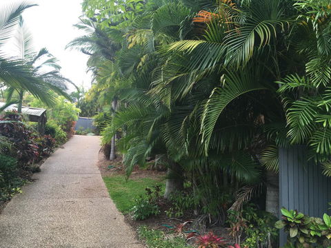 Casuarina - Accommodation Burleigh 21