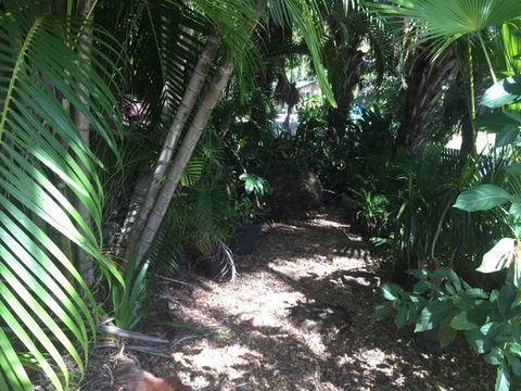 Casuarina - Accommodation Burleigh 12