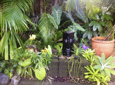 Bluewater Bed & Breakfast Cairns - Accommodation Burleigh 16