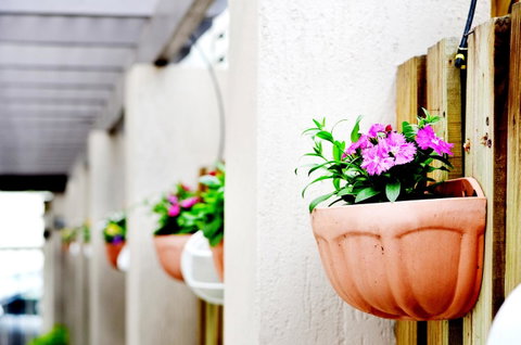 Spring Hill Mews Apartments - Accommodation Burleigh 12