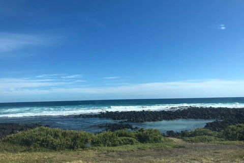 Waterville Beach House - Accommodation Burleigh 3