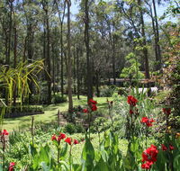 Werekataba - Accommodation Burleigh
