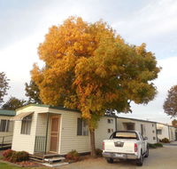 Wodonga Caravan  Cabin Park - Accommodation Burleigh