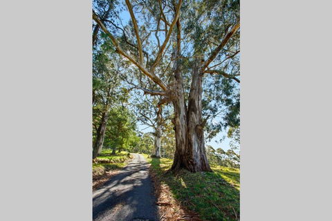 WOOLWAY - Accommodation Burleigh 1