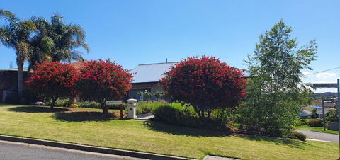 Abalone Guest Accommodation - Accommodation Burleigh 1