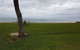 Absolute Beachfront 2BR Pet-Friendly Terrace - The Coachhouse - thumb 4