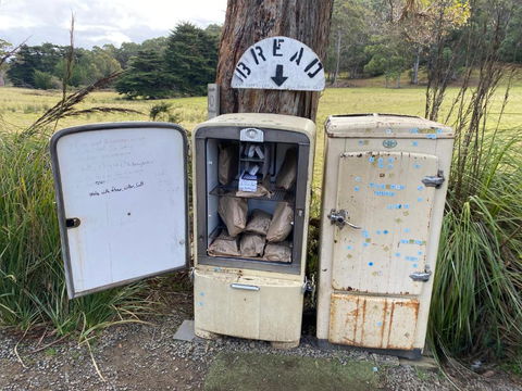 Adina Tiny House Bruny Island - Accommodation Burleigh 3