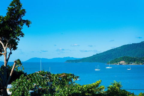 Airlie Bay View - Accommodation Burleigh 2