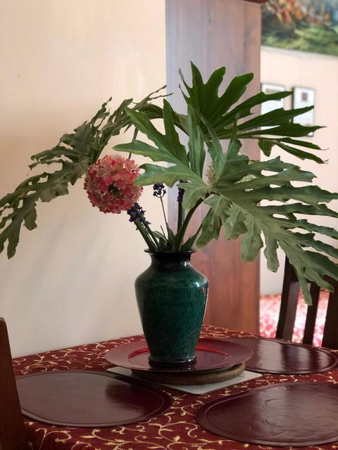 Albany Foreshore Guest House - Accommodation Burleigh 2