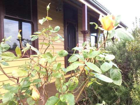 Albion Cottage - Accommodation Burleigh 0