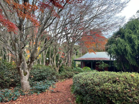 Amaroo Guesthouse - Accommodation Burleigh 1