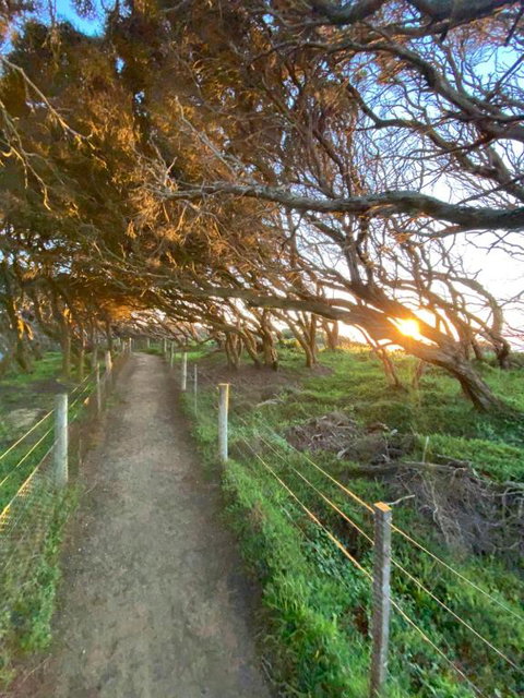 Anglesea Rivergums - Accommodation Burleigh 3