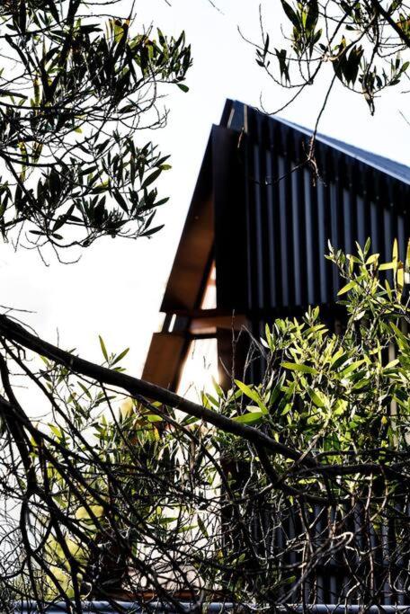 Apollo Bay House - Accommodation Burleigh 2