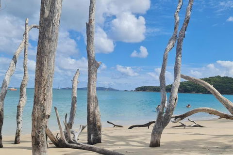 ARay At Cooee Bay - Apt B - Beach House Yeppoon - Accommodation Burleigh 1