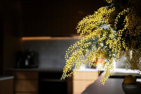 Architectural Gem In Central Red Hill - Accommodation Burleigh 2