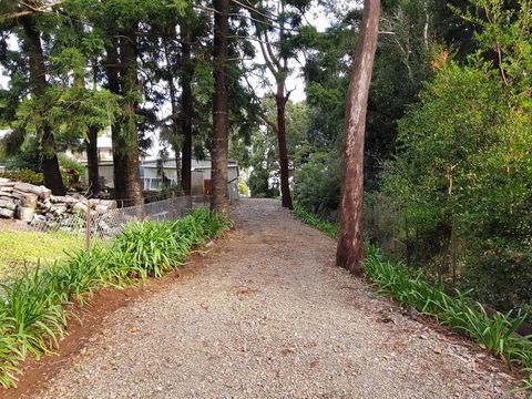 Bee-Haven Cottage - Accommodation Burleigh 4