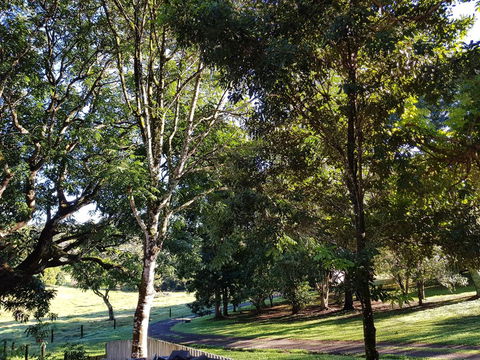 Bee-Haven Cottage - Accommodation Burleigh 7