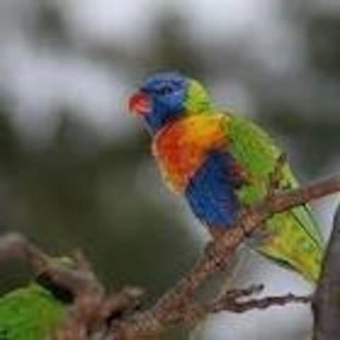 From Bush2Beach Holiday Home - Accommodation Burleigh 39