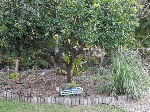 From Bush2Beach Holiday Home - Accommodation Burleigh 42