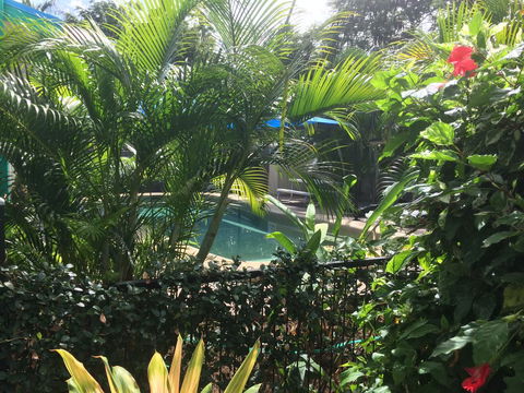 Tropical Palms Resort & 4WD Hire - Accommodation Burleigh 19