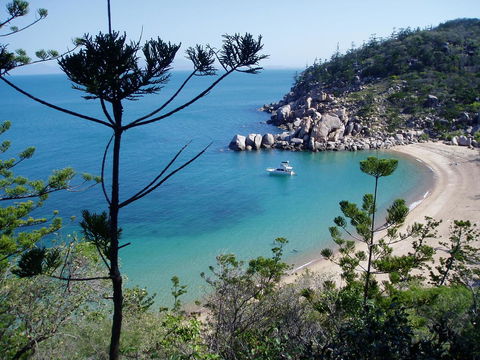 Tropical Palms Resort & 4WD Hire - Accommodation Burleigh 33