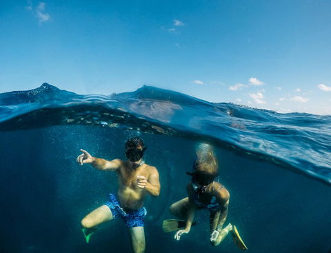 Manta Lodge YHA & Scuba Centre - Accommodation Burleigh 12
