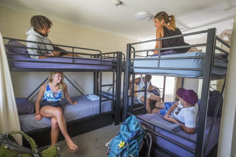 Manta Lodge YHA & Scuba Centre - Accommodation Burleigh 10