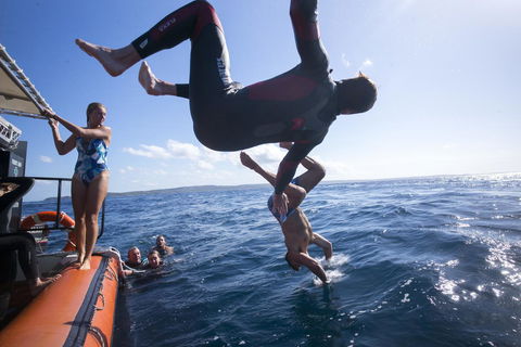 Manta Lodge YHA & Scuba Centre - Accommodation Burleigh 11