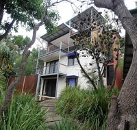 Shell Seeker - Accommodation Burleigh