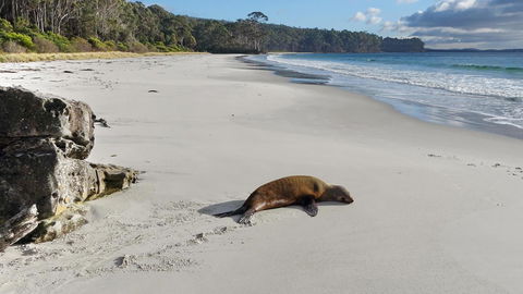 Adventure Bay Holiday Home - Accommodation Burleigh 13