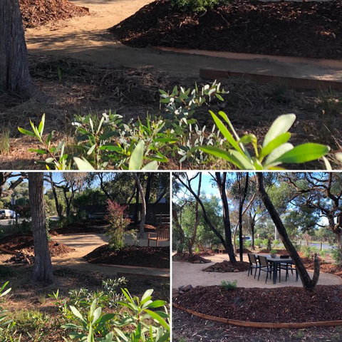 'Carinya' Coastal Cottage - Accommodation Burleigh 3