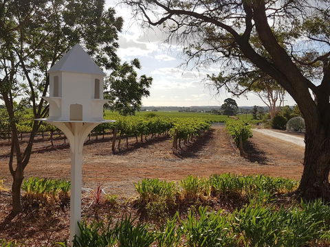 'In The Vines' Guest Cottage, Barossa Valley - Accommodation Burleigh 0