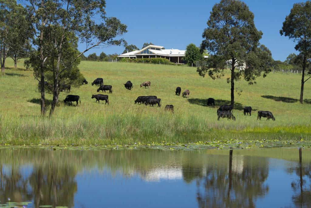 Nerong NSW Accommodation Burleigh
