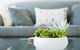 2 'Shoal Court', 7 Lillian Street - Fabulous Location With Water Views - thumb 2