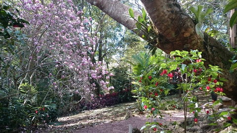 305 Montville - The Artist's Cottage - Accommodation Burleigh 3
