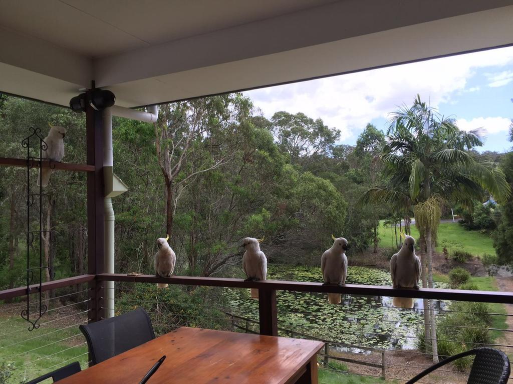 Upper Coomera QLD Accommodation Burleigh