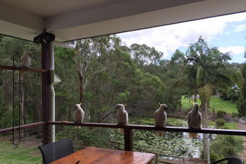 449 with Accommodation Burleigh