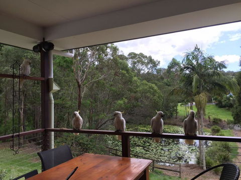 449 - Accommodation Burleigh 0