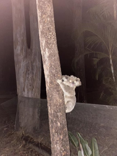 5 Mins To Movie World & Pet Friendly - Accommodation Burleigh 0