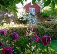 A Country Barn Retreat - Accommodation Burleigh
