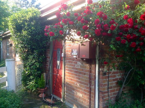 A Country Barn Retreat - Accommodation Burleigh 2