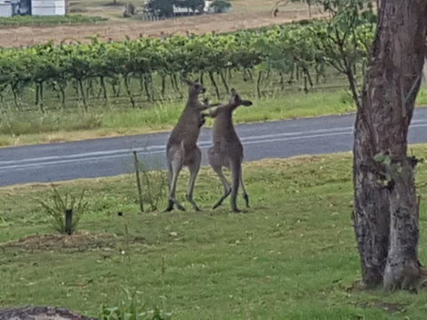 A Stanthorpe Getaway - Accommodation Burleigh 3