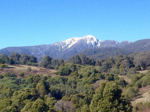 A View To A Hill - Accommodation Burleigh 3