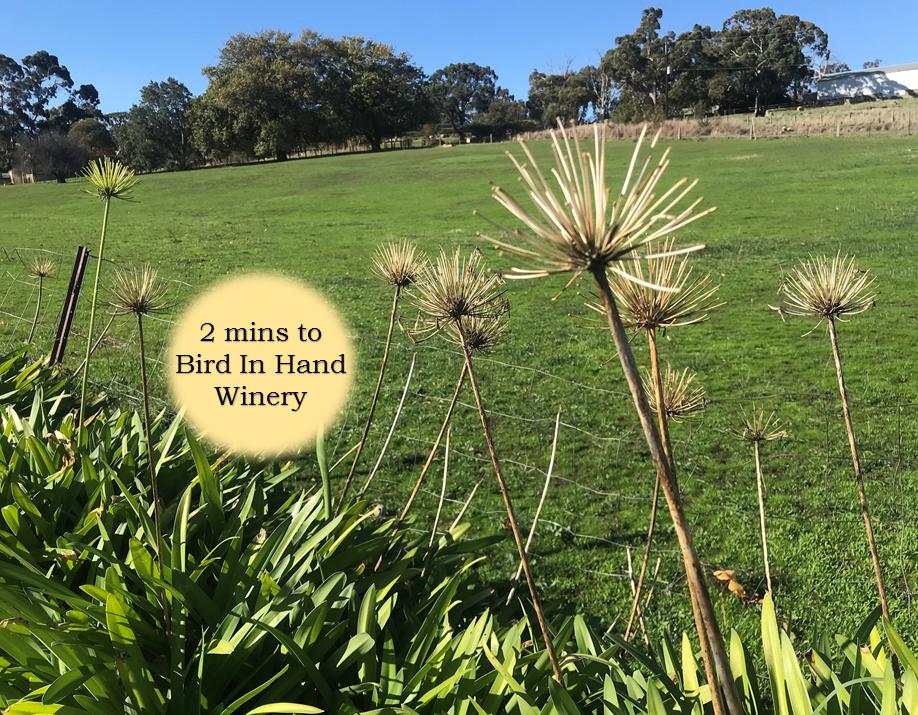 Charleston SA Accommodation Burleigh