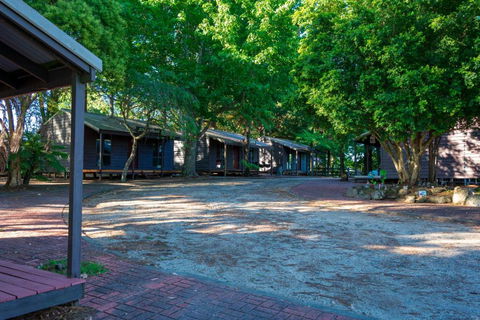 Dorrigo Mountain Holiday Park - Accommodation Burleigh 2