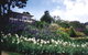 Family Home Prestigious Suburb Panoramic Views - thumb 0