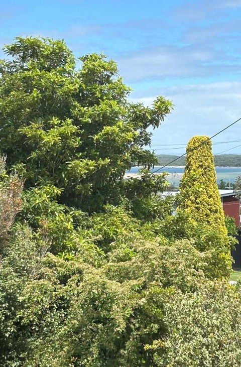 Iconic Beach House On Bruce - Accommodation Burleigh 1